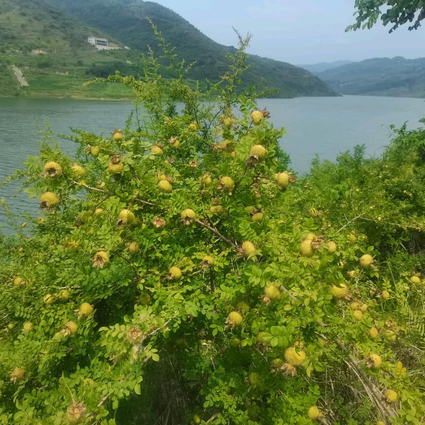 一切看淡