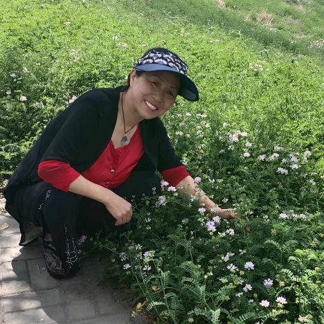 我是甜蜜蜜