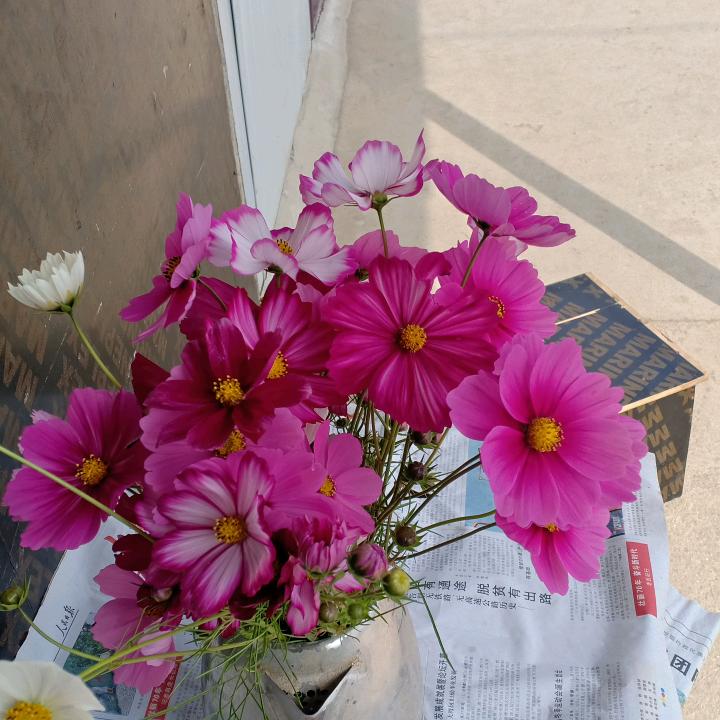 用户5493191549696一生有你