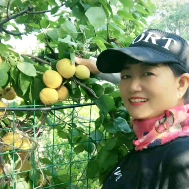 人生美好。