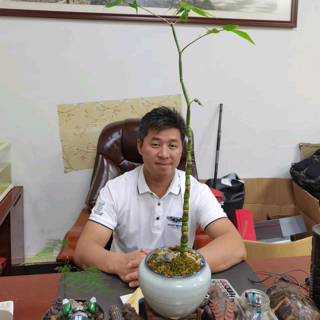 爱在弹指间