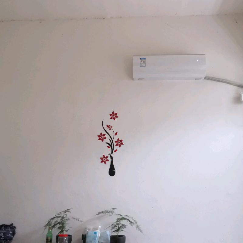 我恨我痴心
