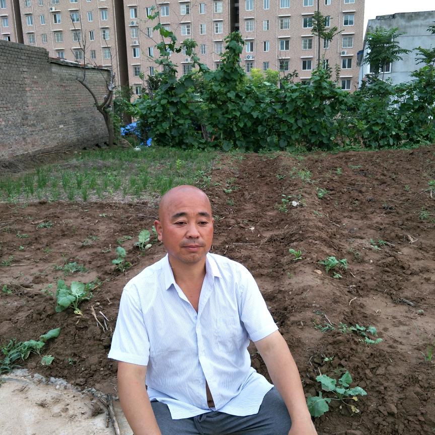 青山，飞扬