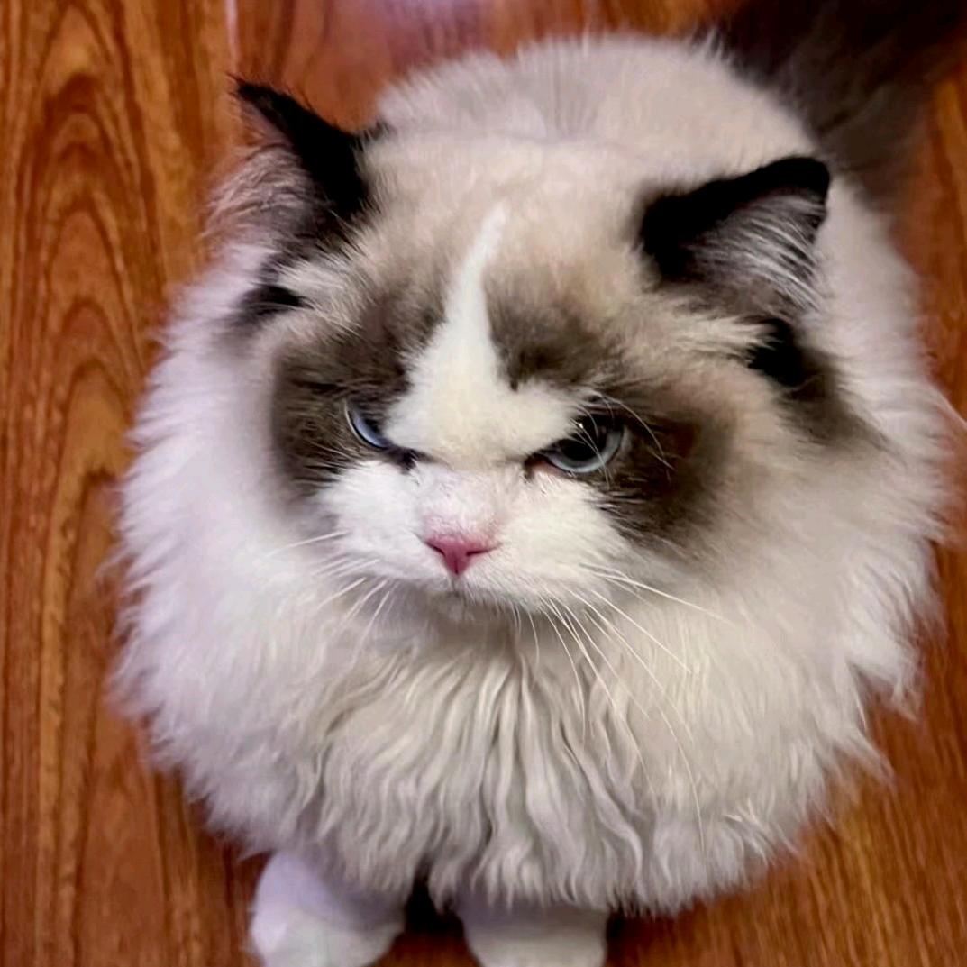 我还需要名字？