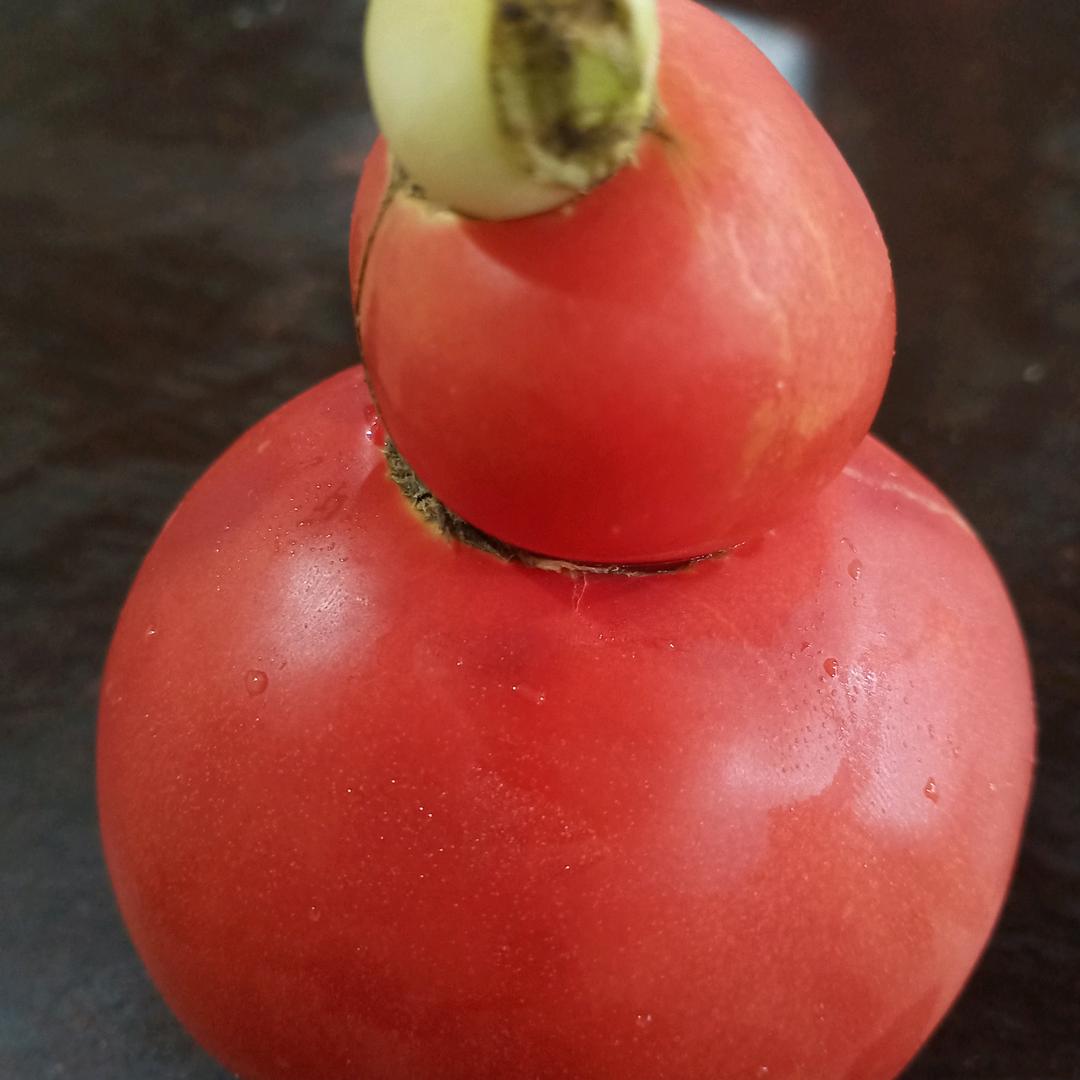 政源