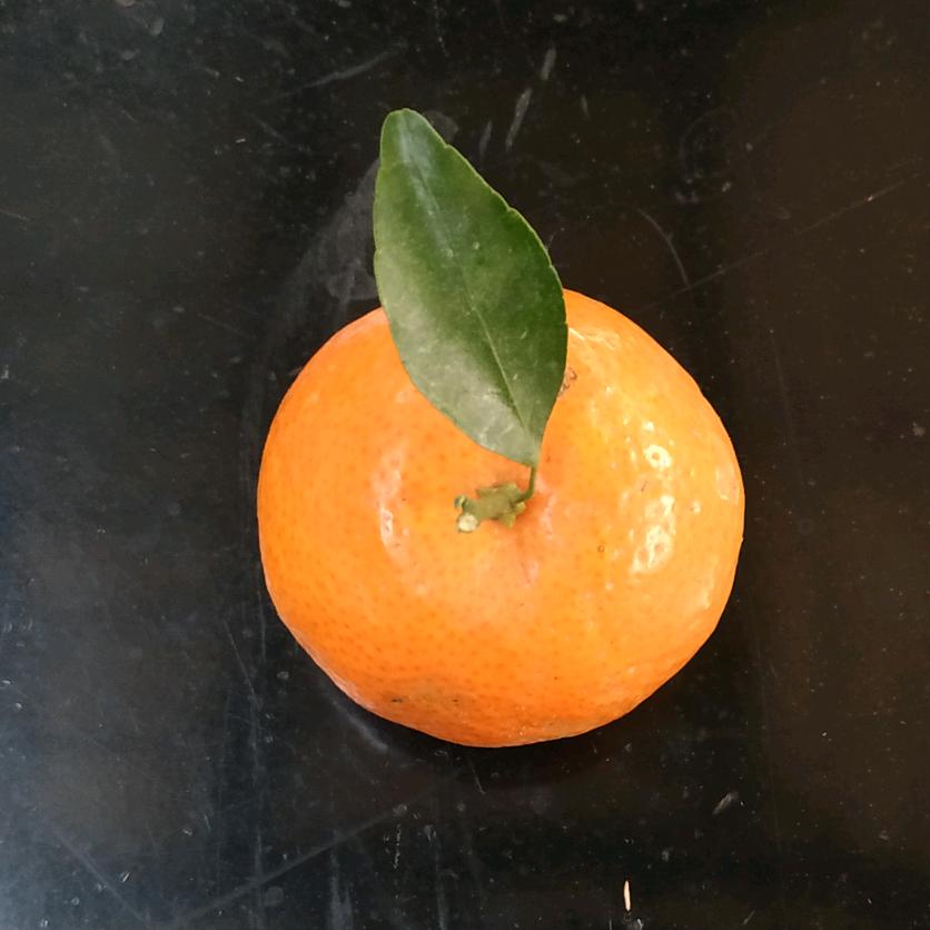 俊品岁月