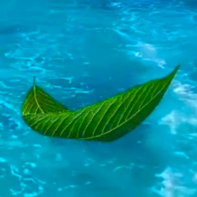 一叶孤舟🍃🍃