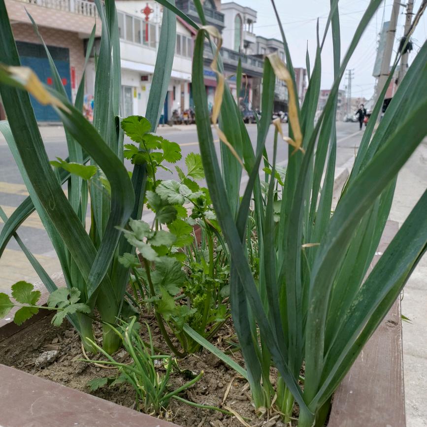 用户5833628785、、、<20"