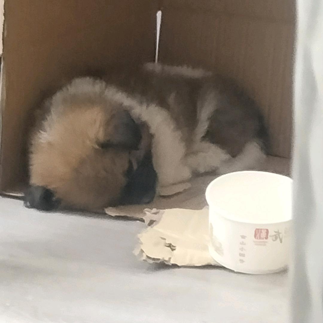 赢官人