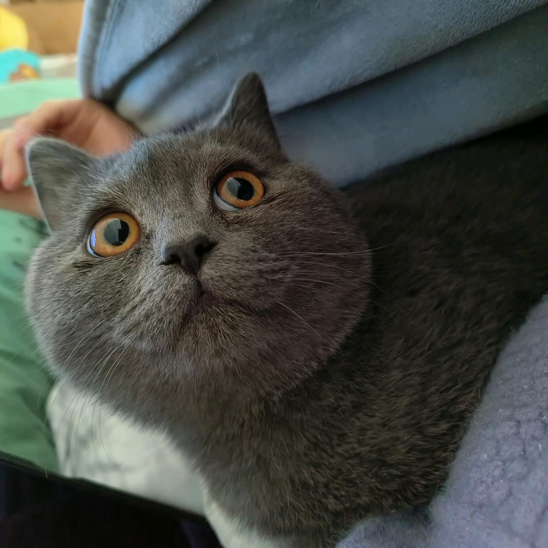 光的尽头