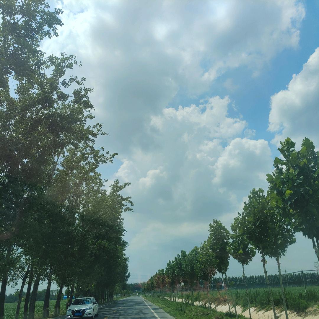 任闫可偎^_^