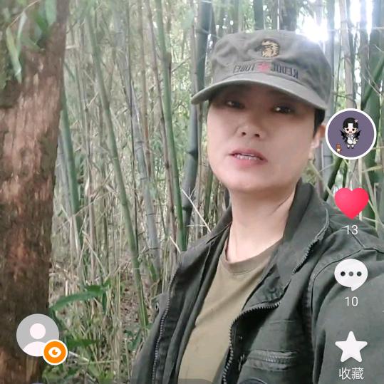 静晗一笑
