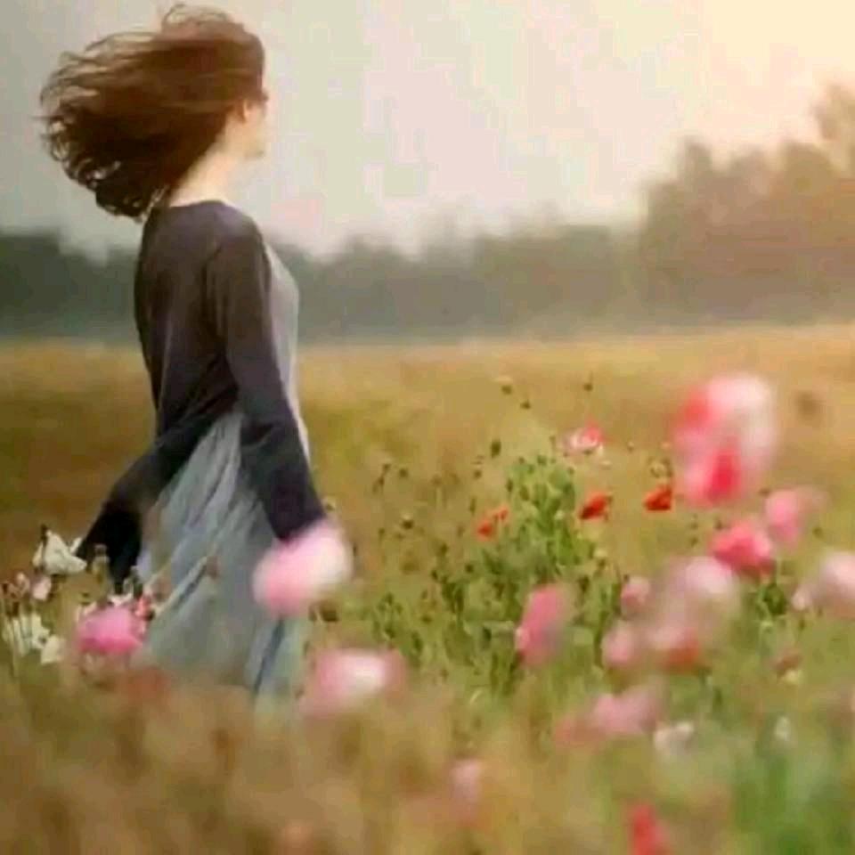 溪山堂🍃🌳🍃若兰馨