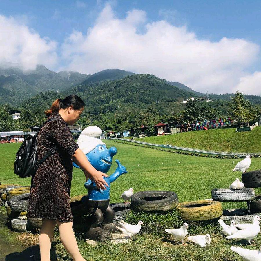 报恩女厨师