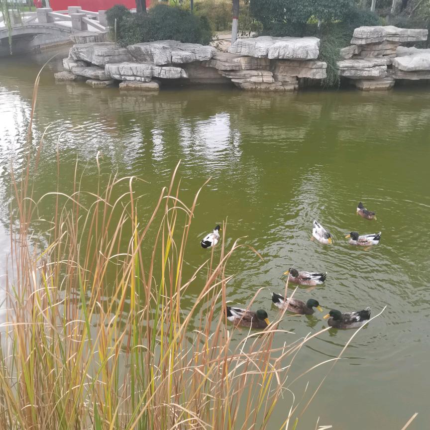 2052086861快乐每一天
