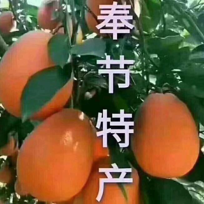 成程