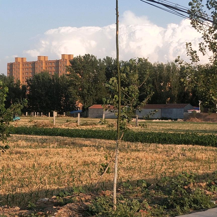 曾经的我们变了