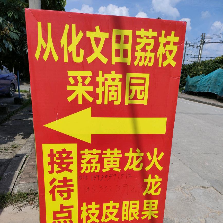 从化文田荔枝黄皮龙眼火龙果采摘园官方号