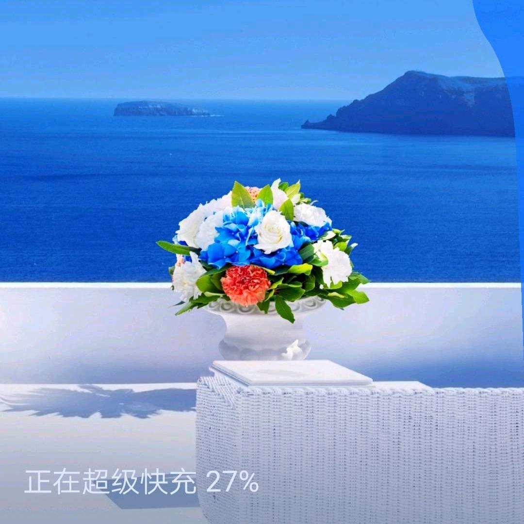 烹饪奇才的许凡妻头像
