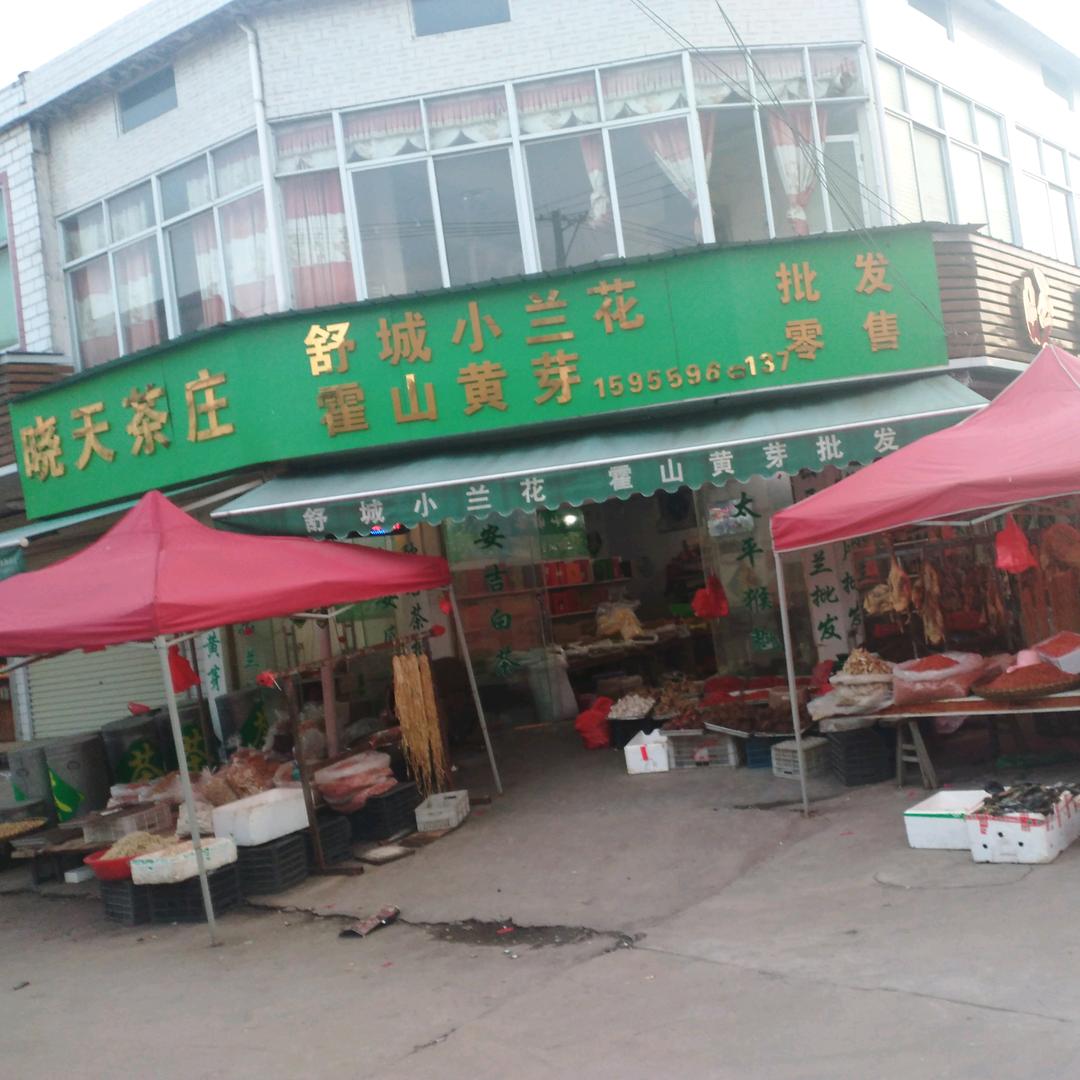 张母桥纯红茶叶