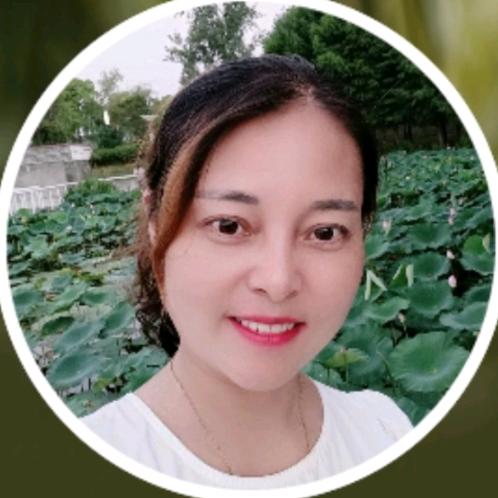 农资苗苗姐