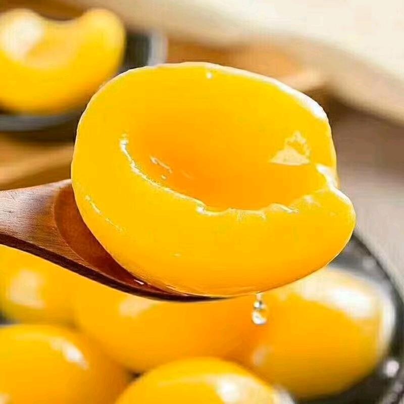 自由飞翔