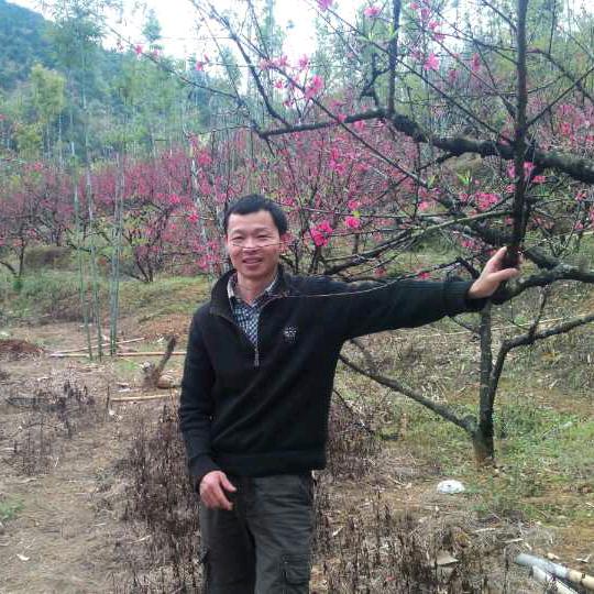 粤北农特产批发