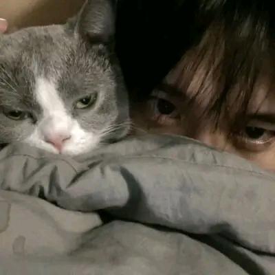 是程程a