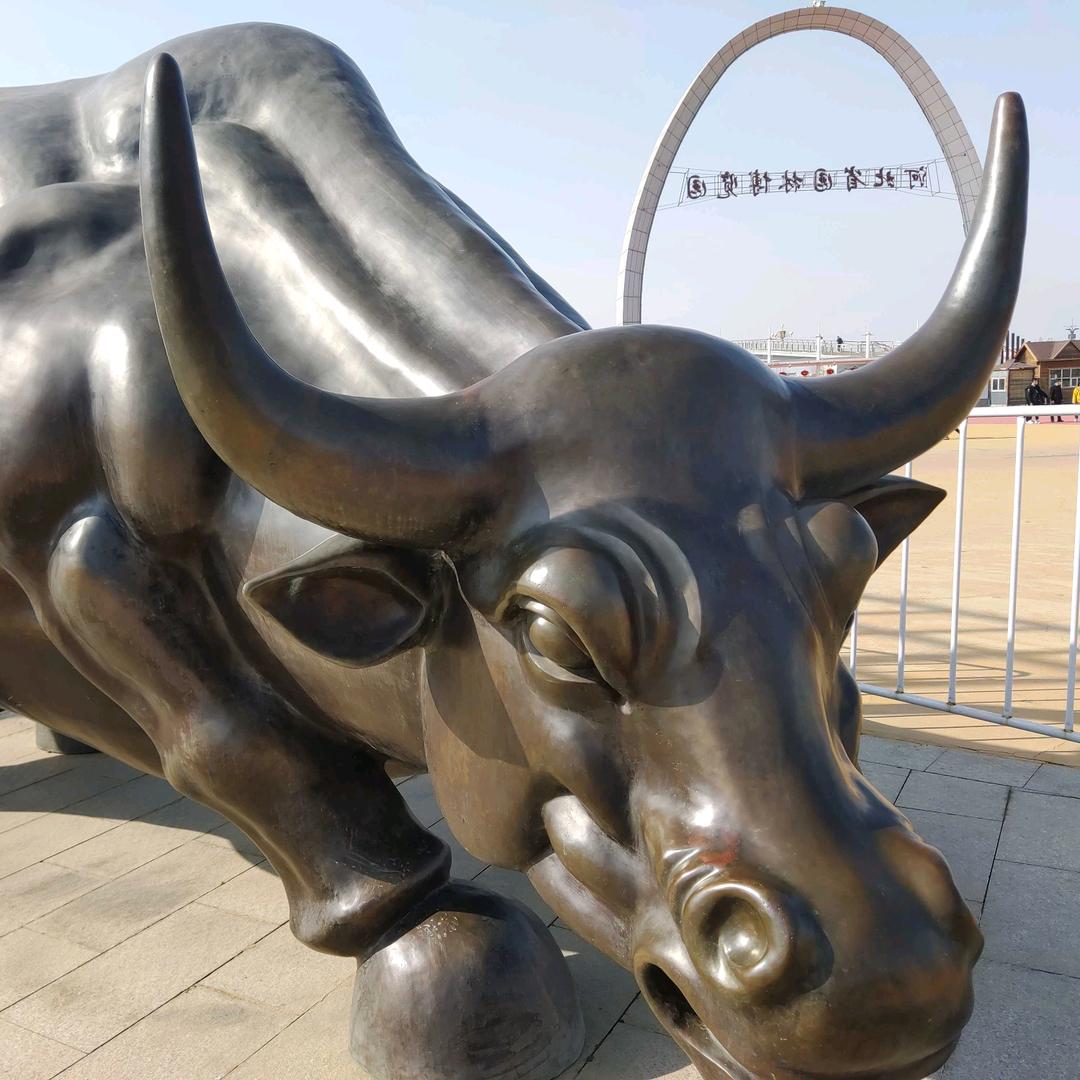 衡水教育咨询张老师