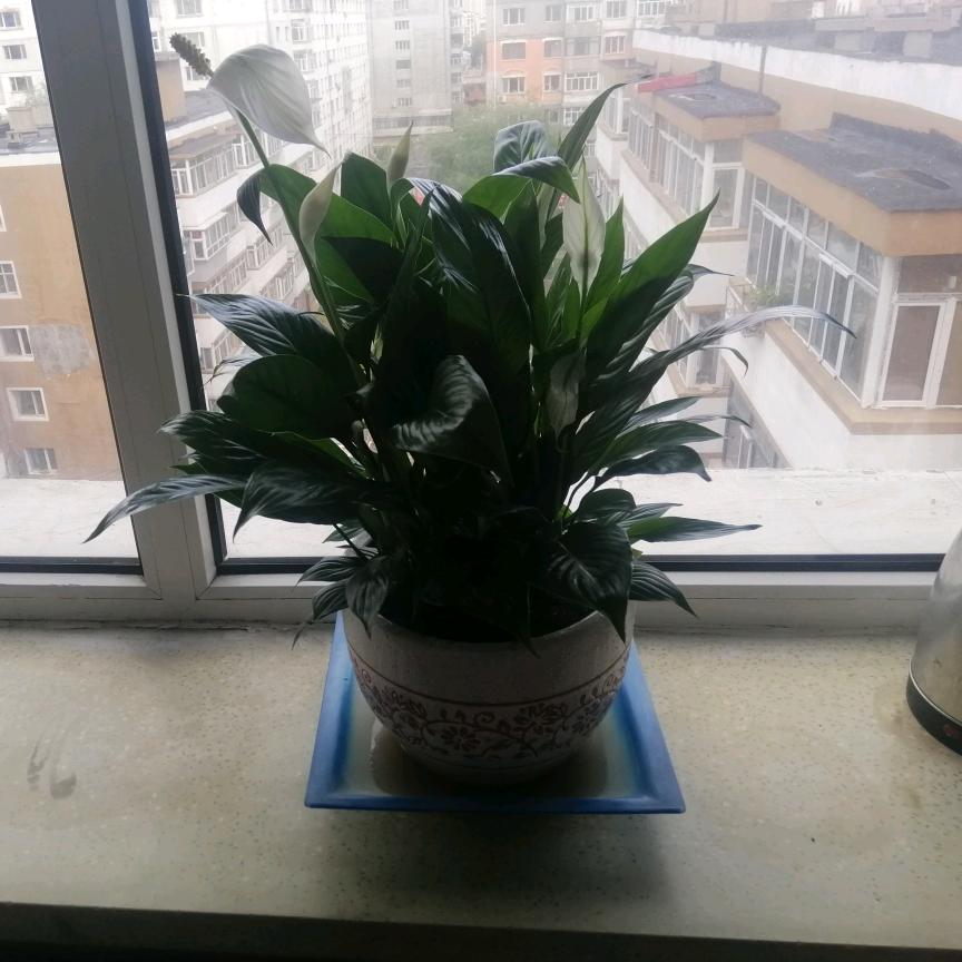 启航∽在远方