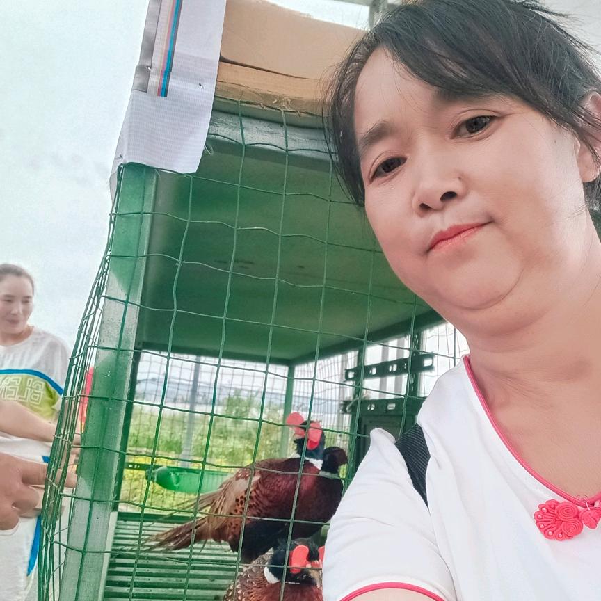 大姐爱锻炼