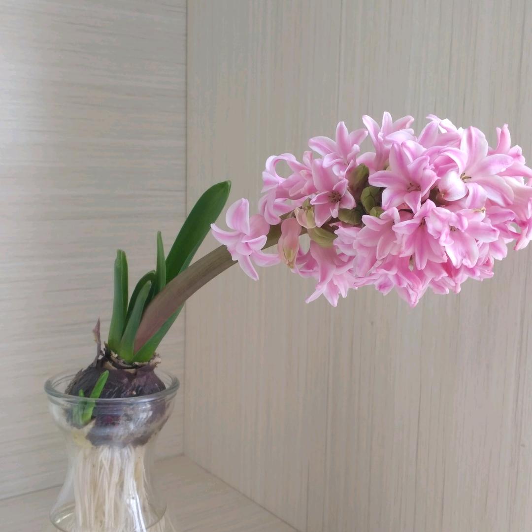 用户3344332993767