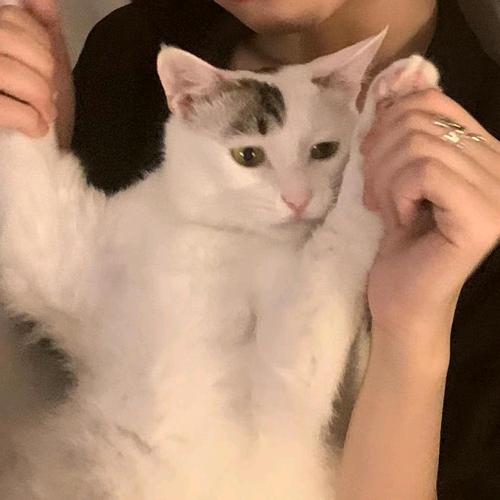 芬达汽水