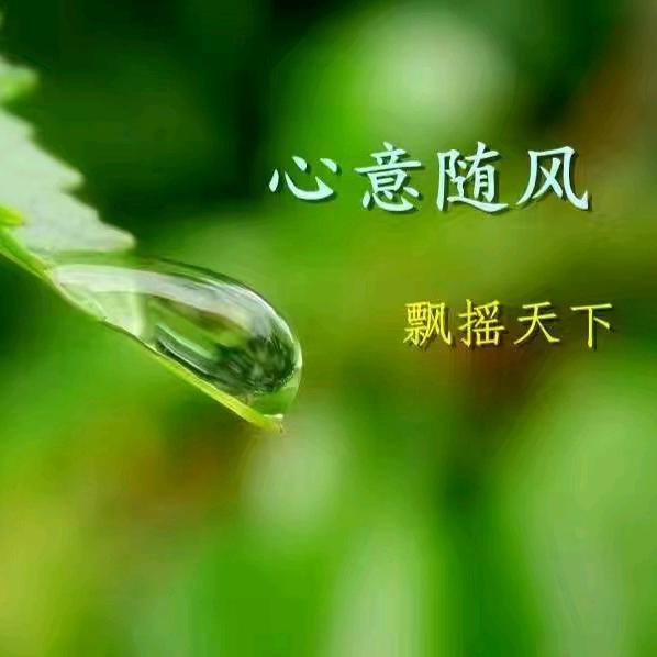 豪迈