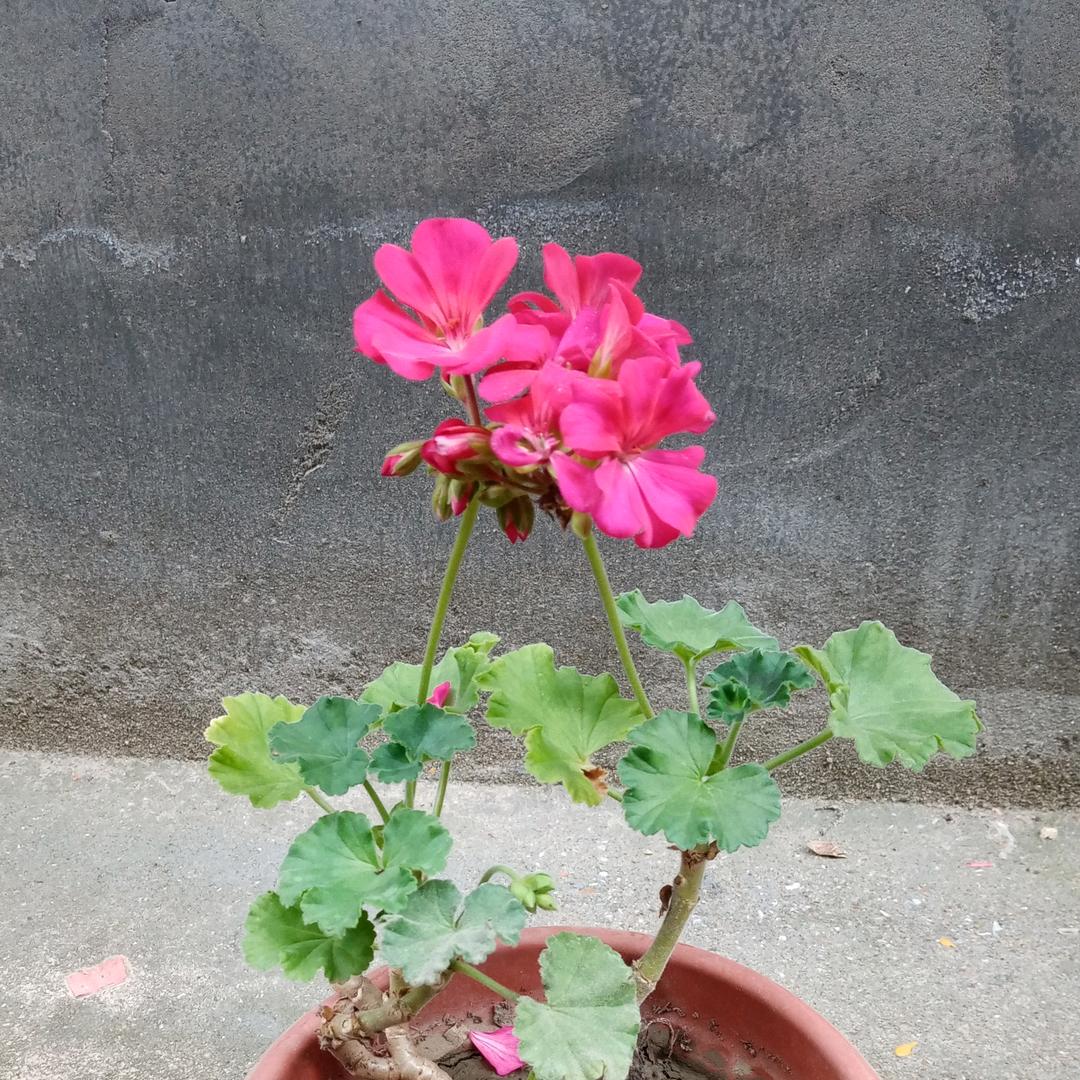 青春永驻(≧∇≦)/