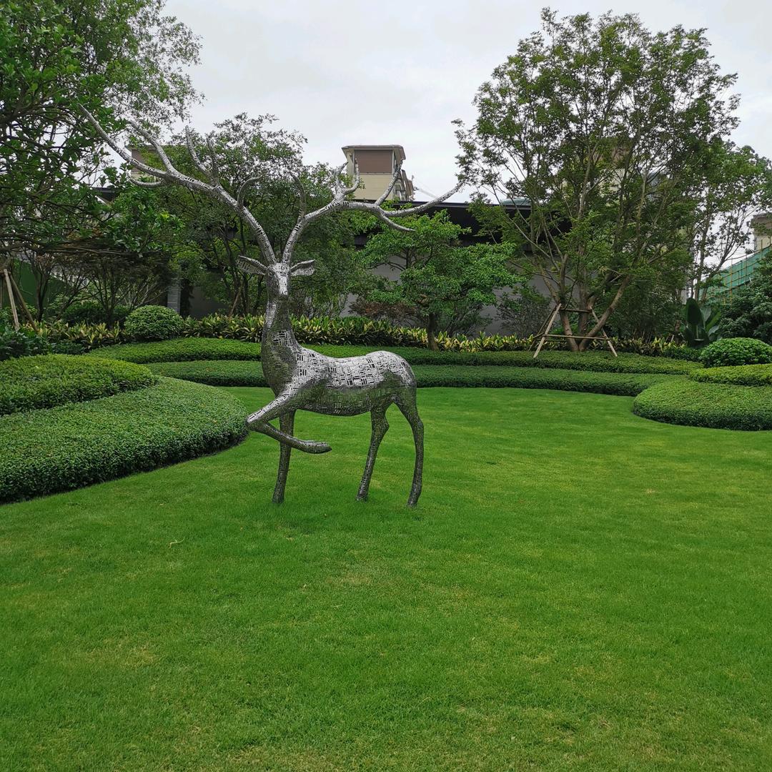 我的青春已过去