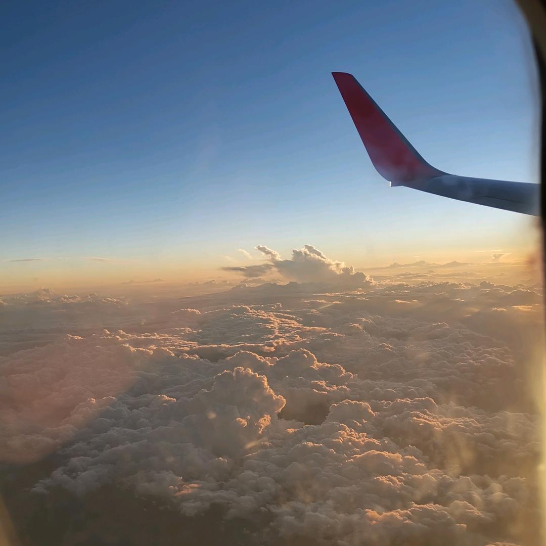 73140903325