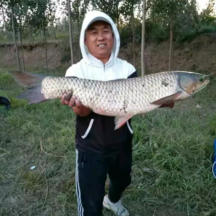 钓鱼睡不着