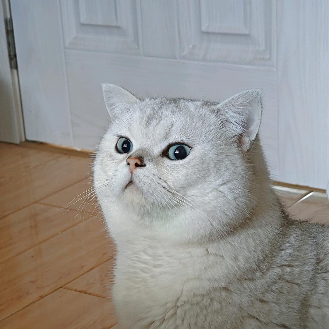 于.