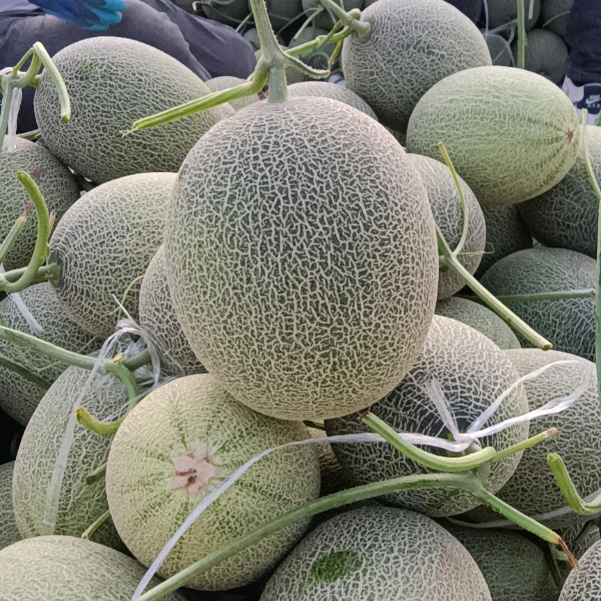 （缘来是你）