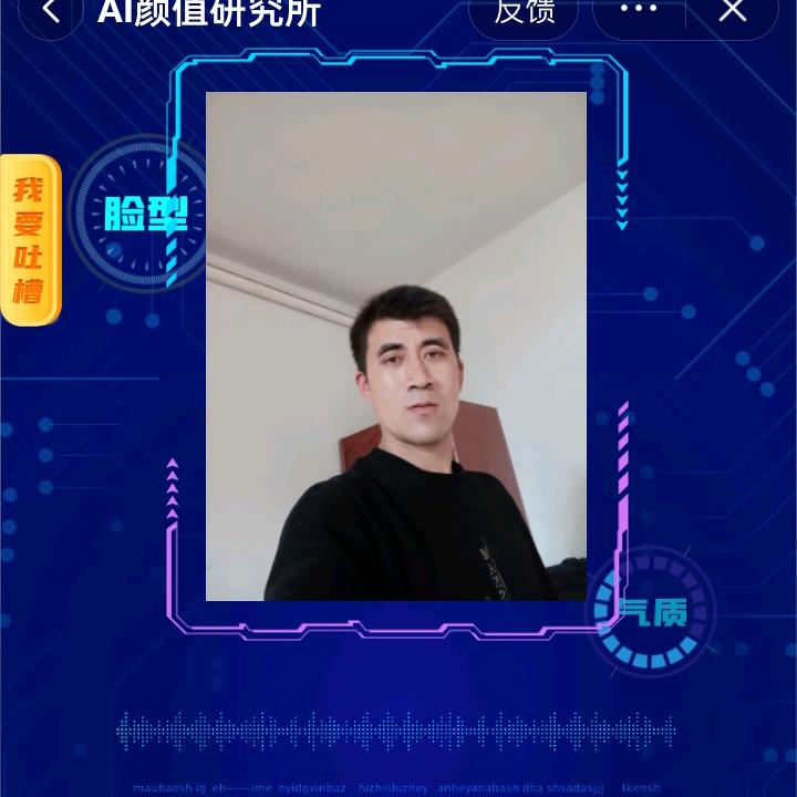 安静的海豚