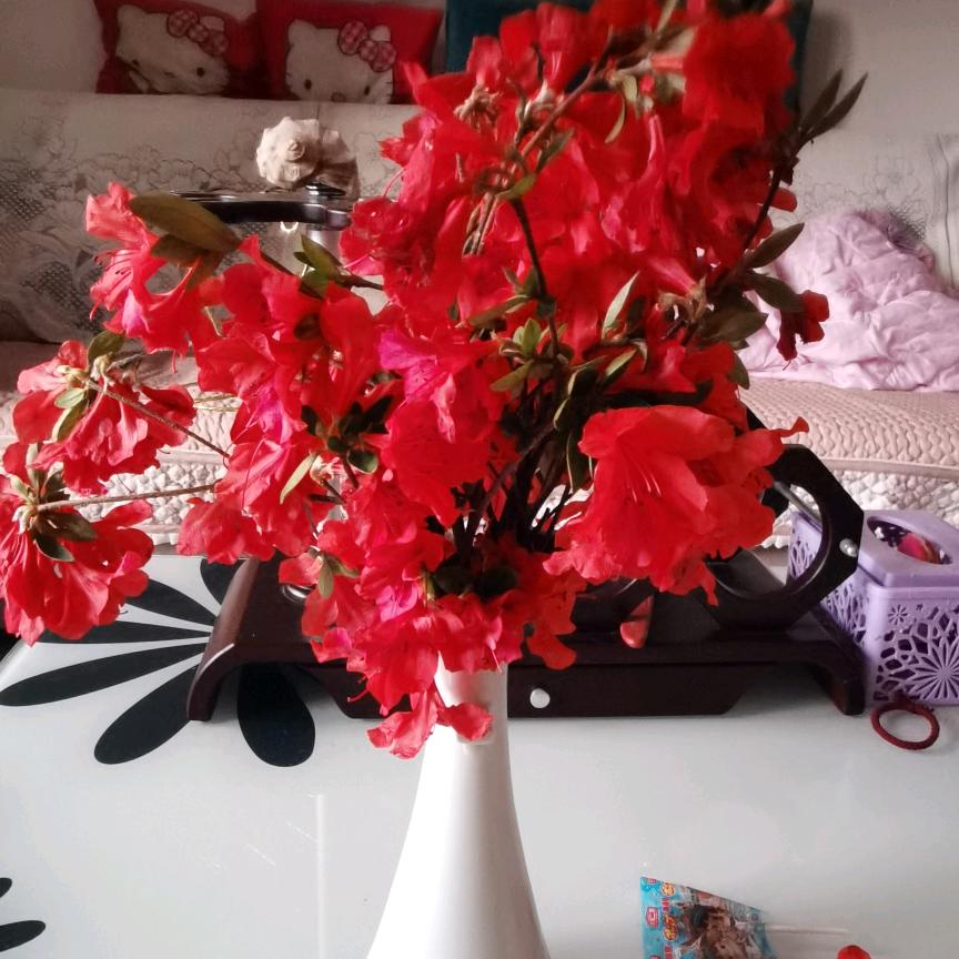 谢颖芳豆制品带徒弟