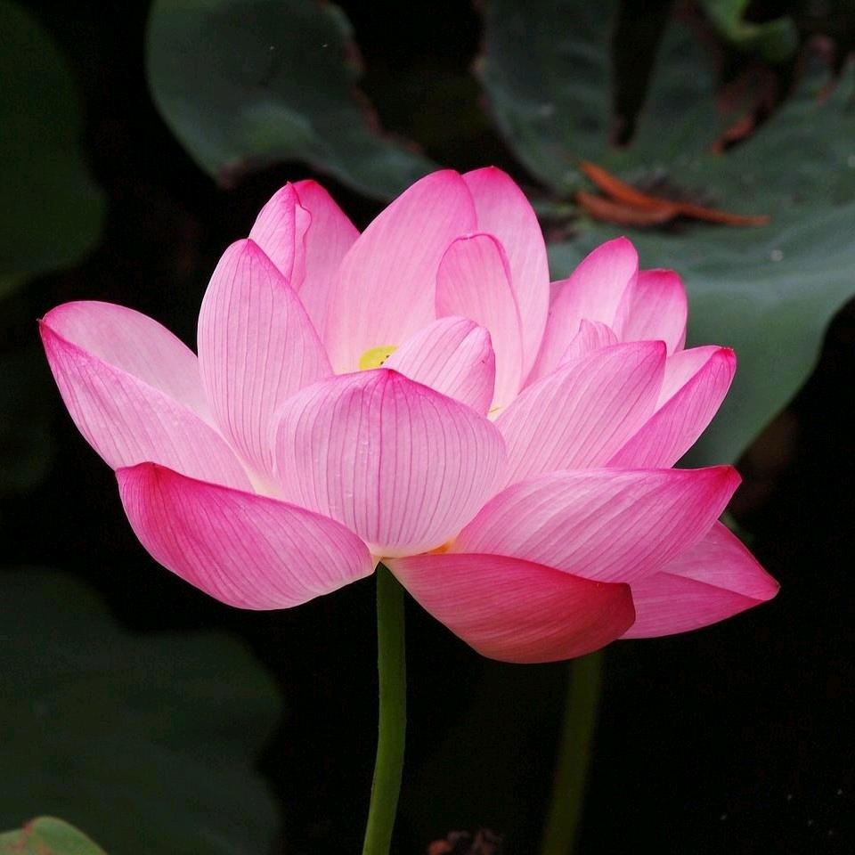 大富大贵