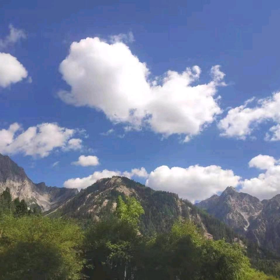 闫文涛