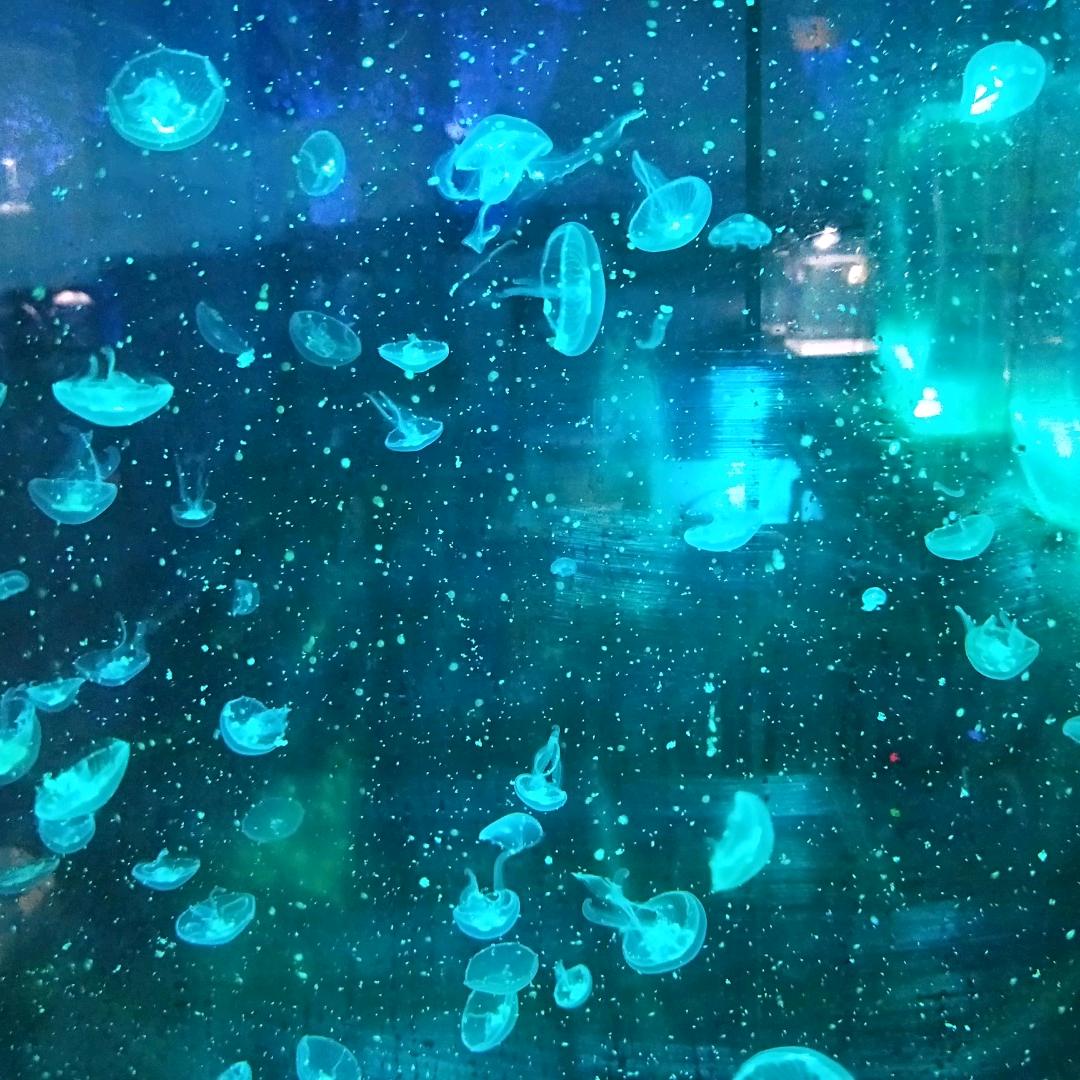 私语
