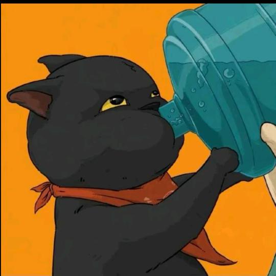 一只无所畏惧🐱
