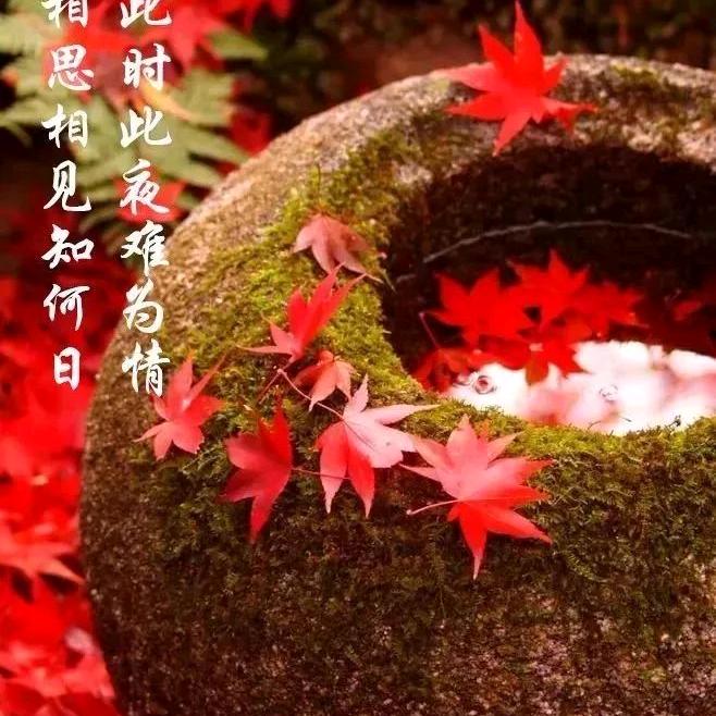 W惜缘