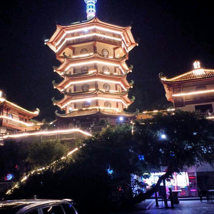 🌵🐉人间李想🎋🌲