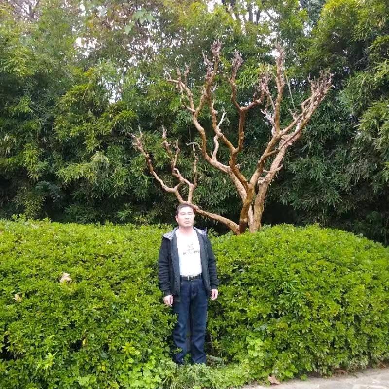 用户875590870192