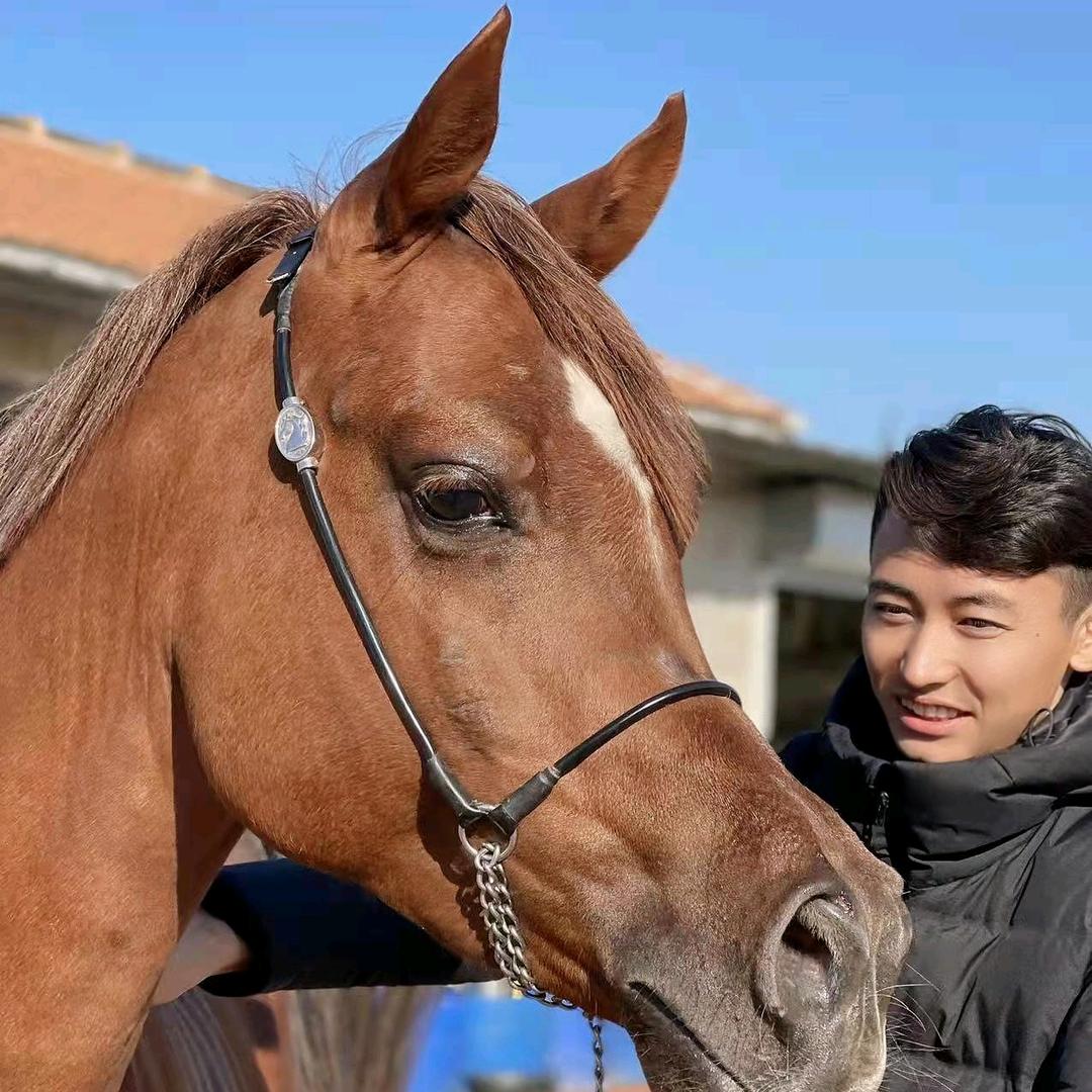 阿代🏇🐎🐎